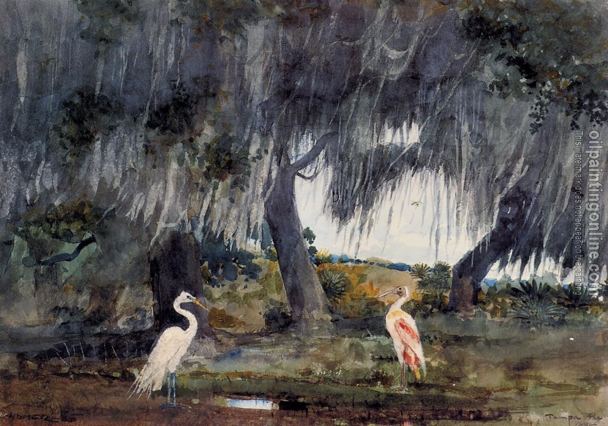 Homer, Winslow - At Tampa